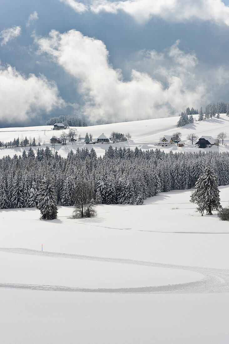 Landschaft bei Breitnau, Nähe Hinterzarten, Schwarzwald, Baden-Württemberg, Deutschland