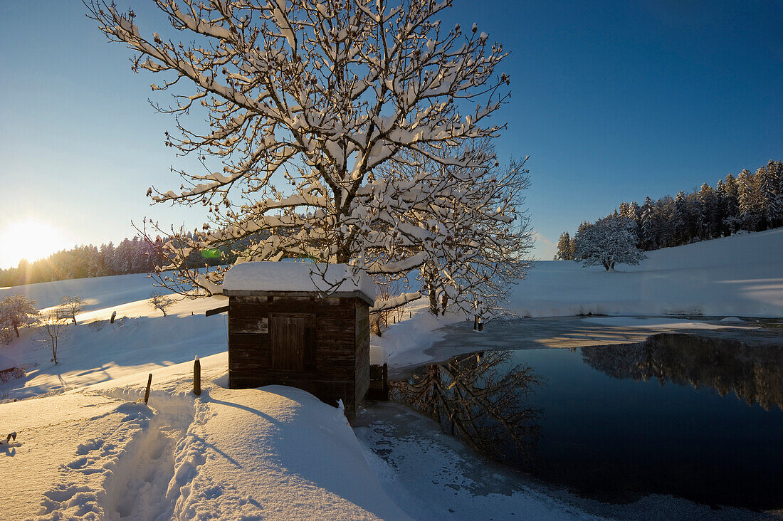 Sunset near St Maergen, Black Forest, Baden-Wuerttemberg, Germany