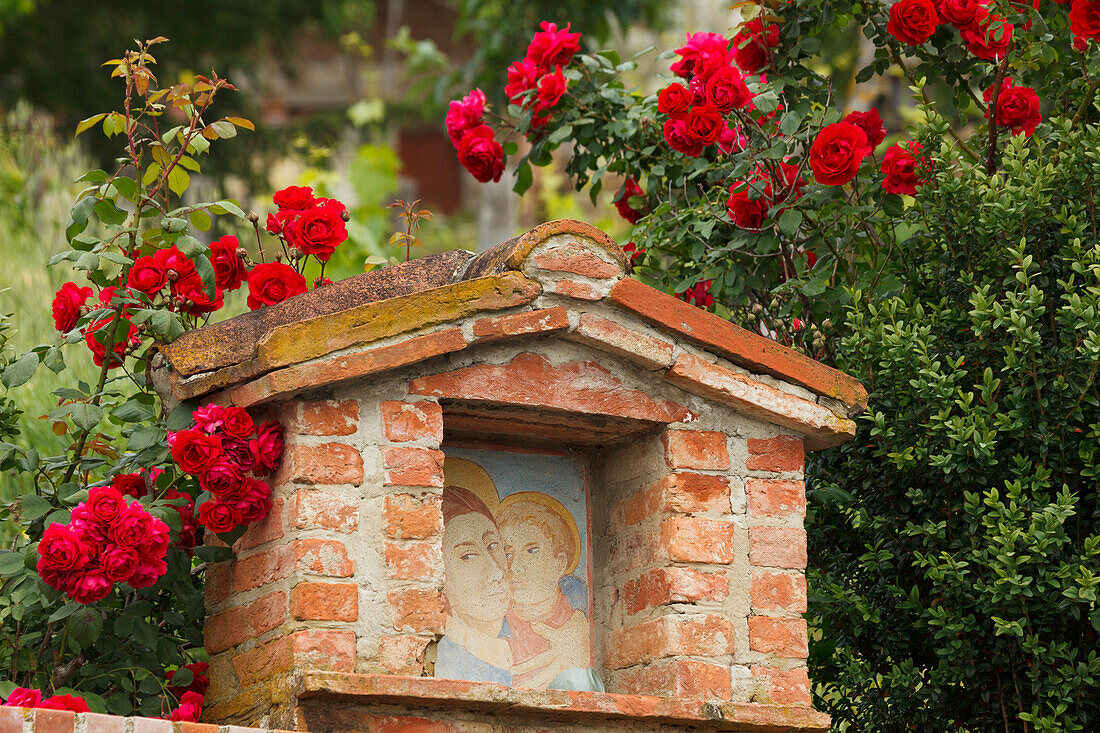 Christian wayside shrine surrounded by roses near Taverne d´Arbia, Val d'Orcia, Orcia valley, Province of Siena, Tuscany, Italy, Europe