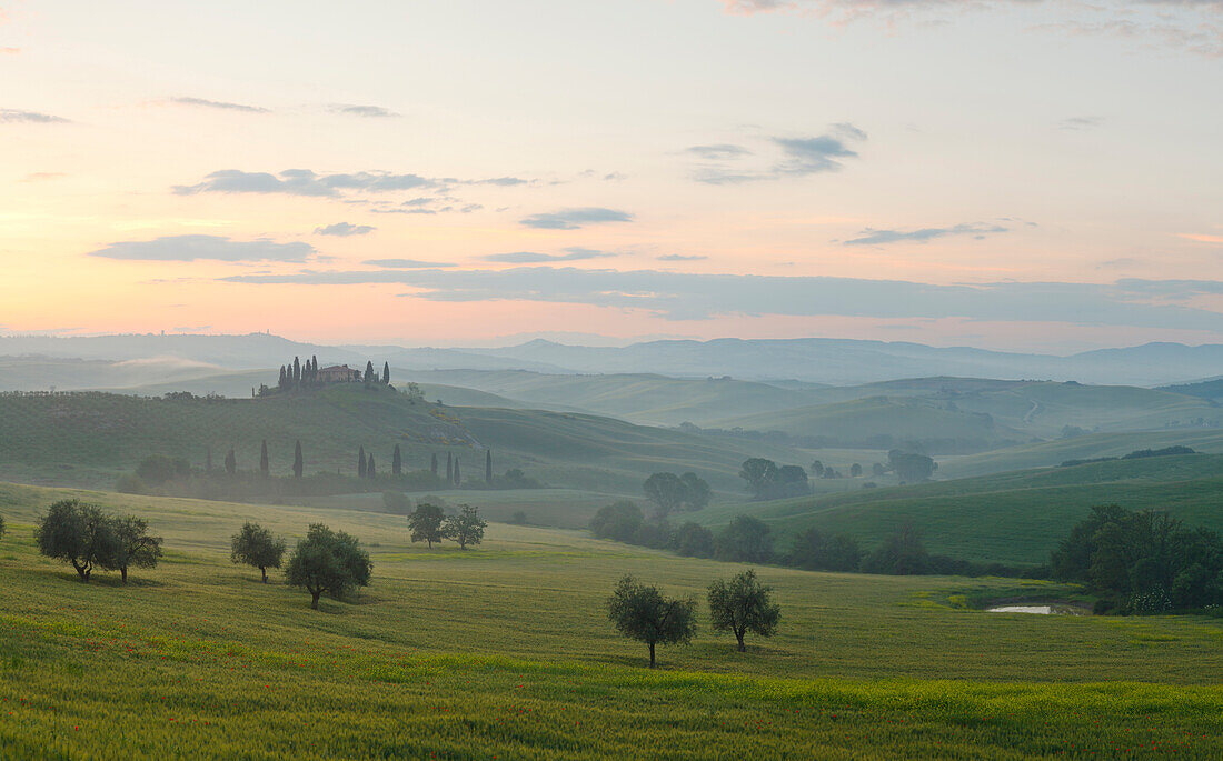 Typical tuscan landscape with hillls, country house and cypresses, near San Quirico d´Orcia, Val d'Orcia, Orcia valley, UNESCO World Heritage Site, Province of Siena, Tuscany, Italy, Europe