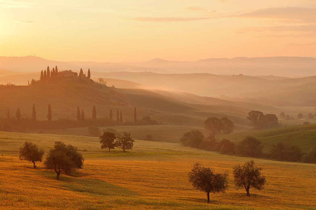 Typical tuscan landscape with hillls, country house and cypresses, near San Quirico d´Orcia, Val d'Orcia, Orcia valley, UNESCO World Heritage Site, Province of Siena, Tuscany, Italy, Europe