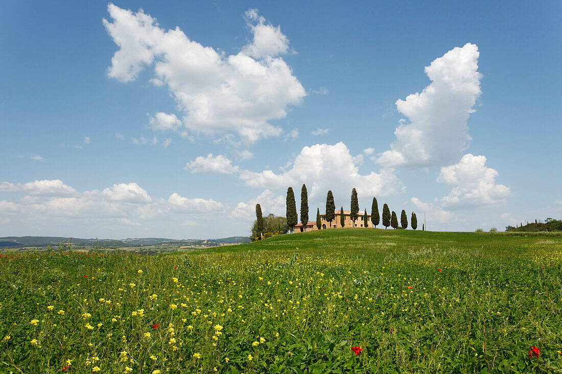 Landhaus mit Zypressen, Val d'Orcia, UNESCO Weltkulturerbe, bei Pienza, Provinz Siena, Toskana, Italien, Europa