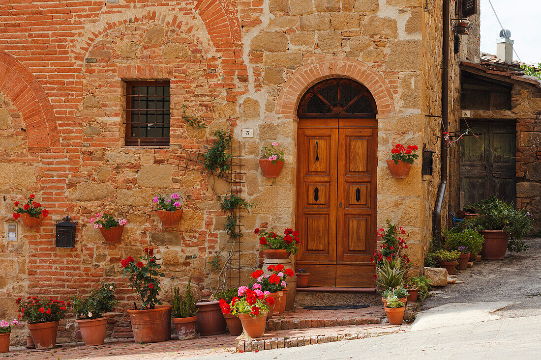 Door surrounded by flowers in the ancient village of Monticchiello, Orcia valley, Val d'Orcia, UNESCO World Heritage Site, province of Siena, Tuscany, Italy, Europe