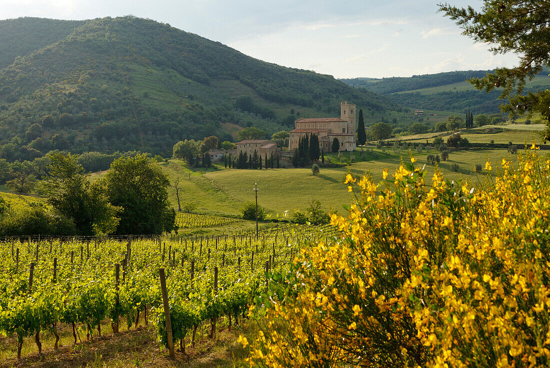 Abbazia di Sant Antimo, Kloster, San Antimo, 12.Jhd., Romanische Architektur, bei Montalcino, Provinz Siena, Toskana, Italien, Europa