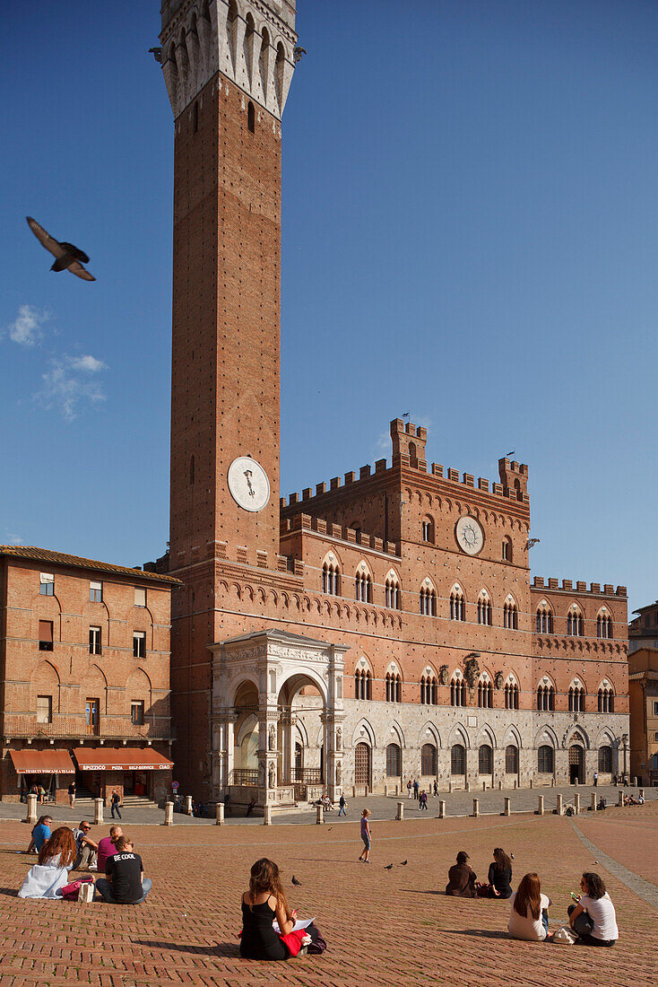 Piazza del Campo, Il Campo square with Torre del Mangia bell tower and Palazzo Pubblico town hall, Siena, UNESCO World Heritage Site, Tuscany, Italy, Europe