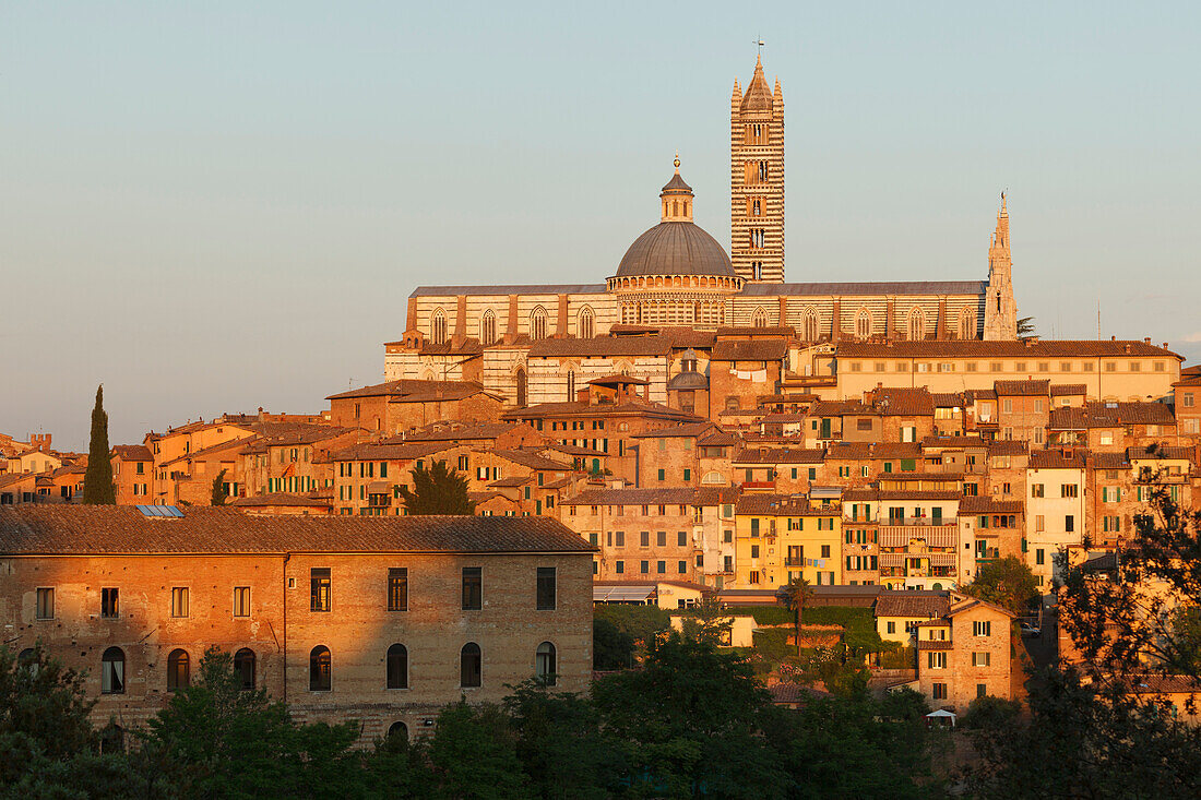 Stadtansicht mit Duomo Santa Maria, Kathedrale, Dom, Siena, UNESCO Weltkulturerbe, Toskana, Italien, Europa