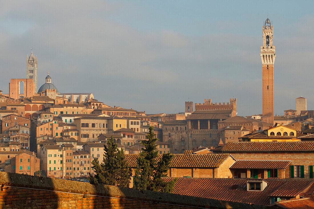 Stadtansicht mit Torre del Mangia Glockenturm, Rathaus und Duomo Santa Maria Kathedrale, Dom, Siena, UNESCO Weltkulturerbe, Toskana, Italien, Europa