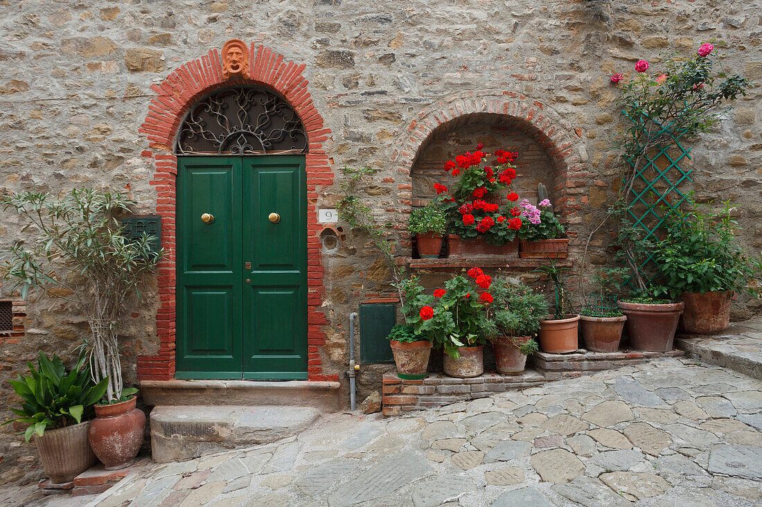 Door with flowers in an alley of the fortress, Castiglione della Pescaia, seaside town, province of Grosseto, Tuscany, Italy, Europe