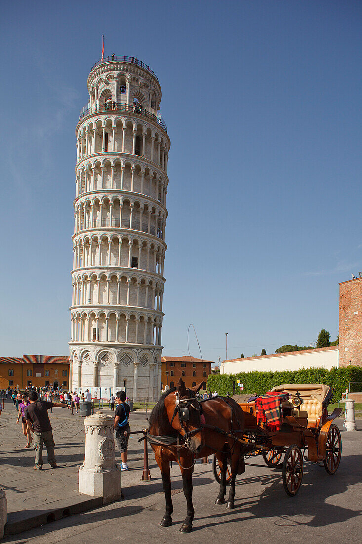 Campanile, Leaning tower of Pisa, Torre pendente, Piazza dei Miracoli, square of miracles, Piazza del Duomo, Cathedral Square, UNESCO World Heritage Site, Pisa, Tuscany, Italy, Europe