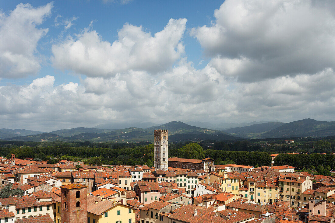 Blick vom Torre Guinigi, Turm, Piazza dell Anfiteatro, Platz, Basilica di San Frediano, Romanische Kirche, Altstadt von Lucca, UNESCO Weltkulturerbe, Lucca, Toskana, Italien, Europa