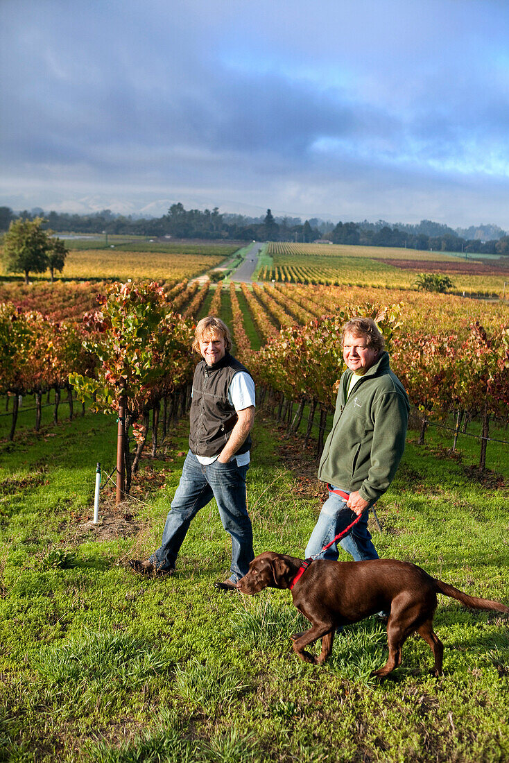 USA, California, Gundlach Bundschu Winery, fifth and sixth generation vineyard owners Jim and his son Jeff Bundschu walk through the vineyard with Ruby