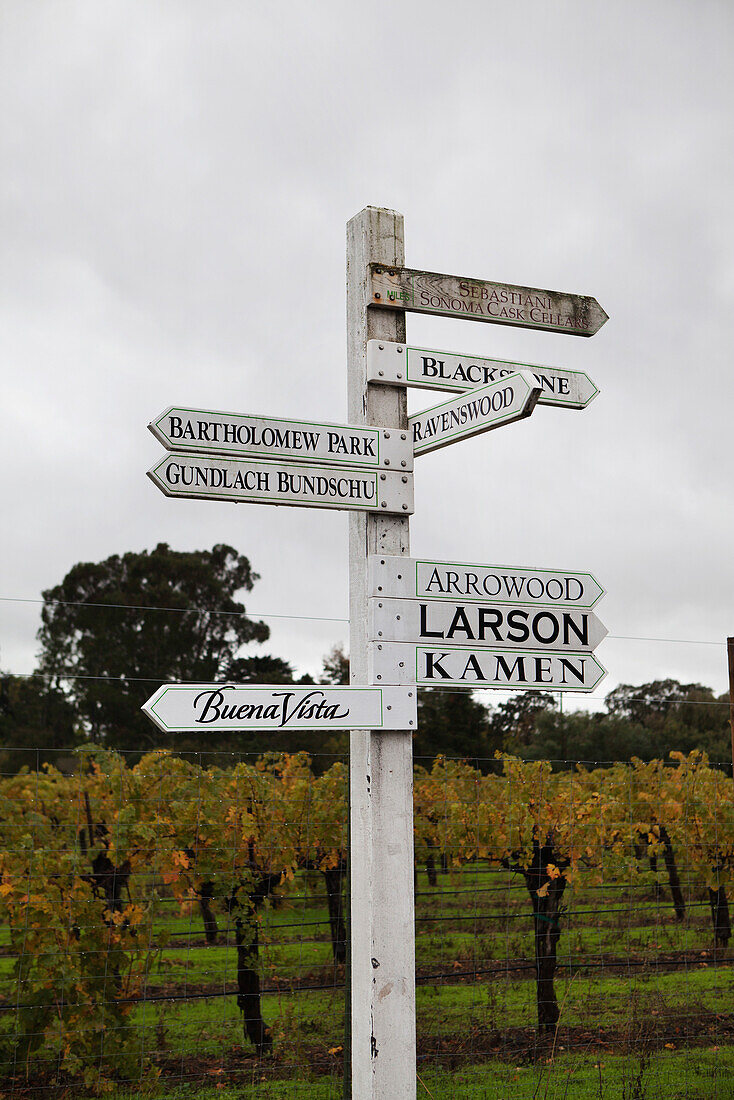 USA, California, Sonoma, signs point the way to the many vineyards in the Sonoma countryside