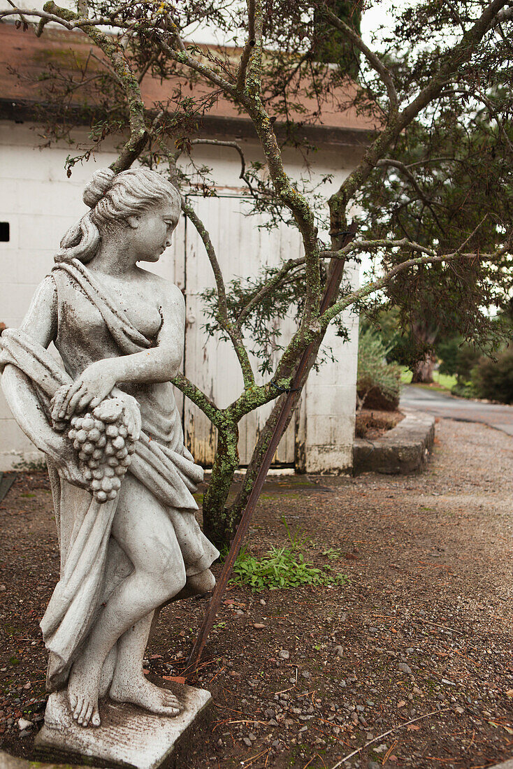 USA, California, a statue and the exterior of the tasting room at the Bartholomew Park winery and vineyard