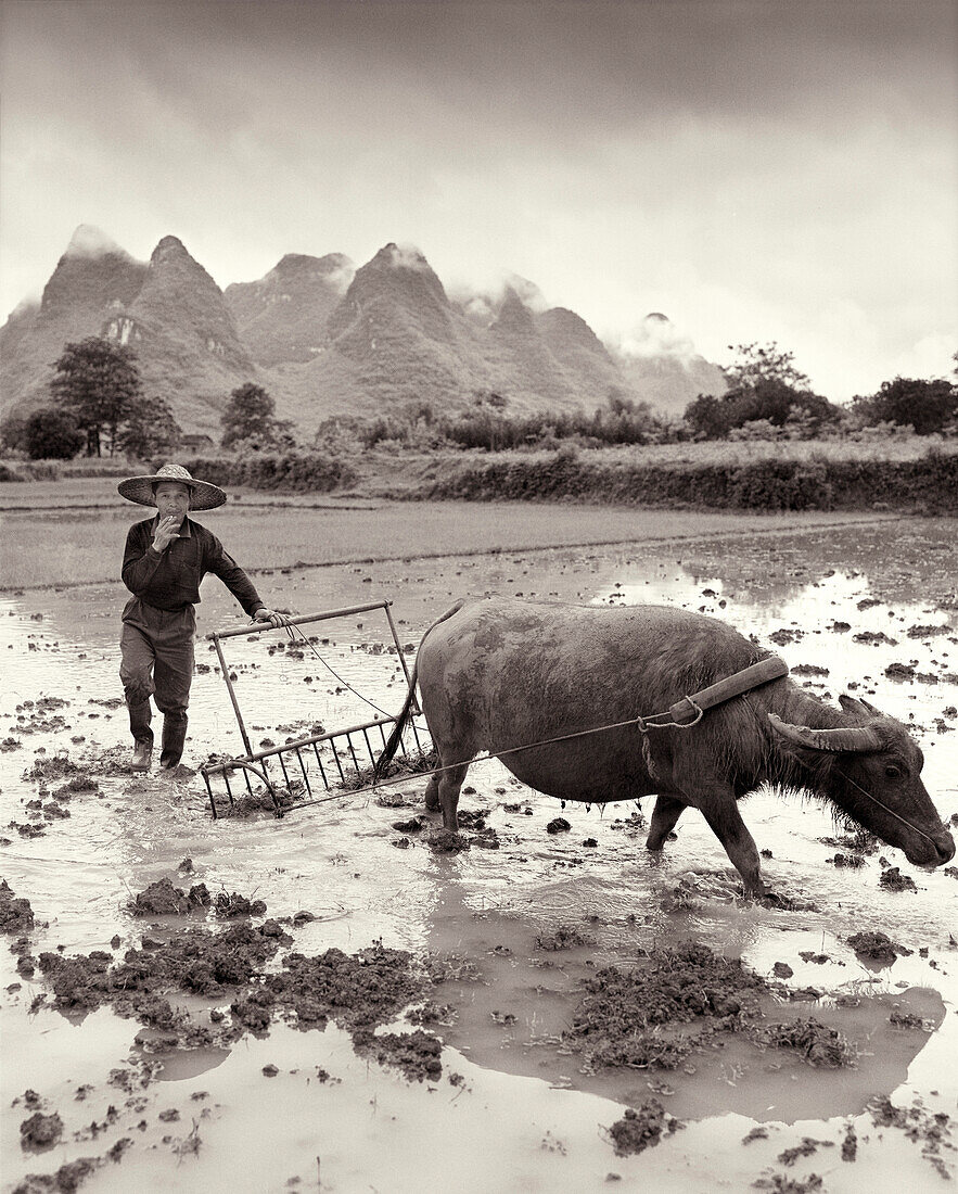 CHINA, portrait of smoking farmer with water buffalo, Guilin (B&W)