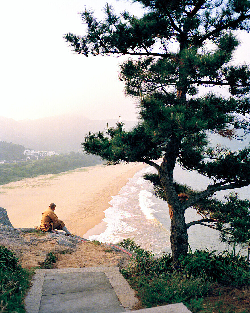 CHINA, monk sitting by tree admiring Thousand Steps beach, Putuoshan