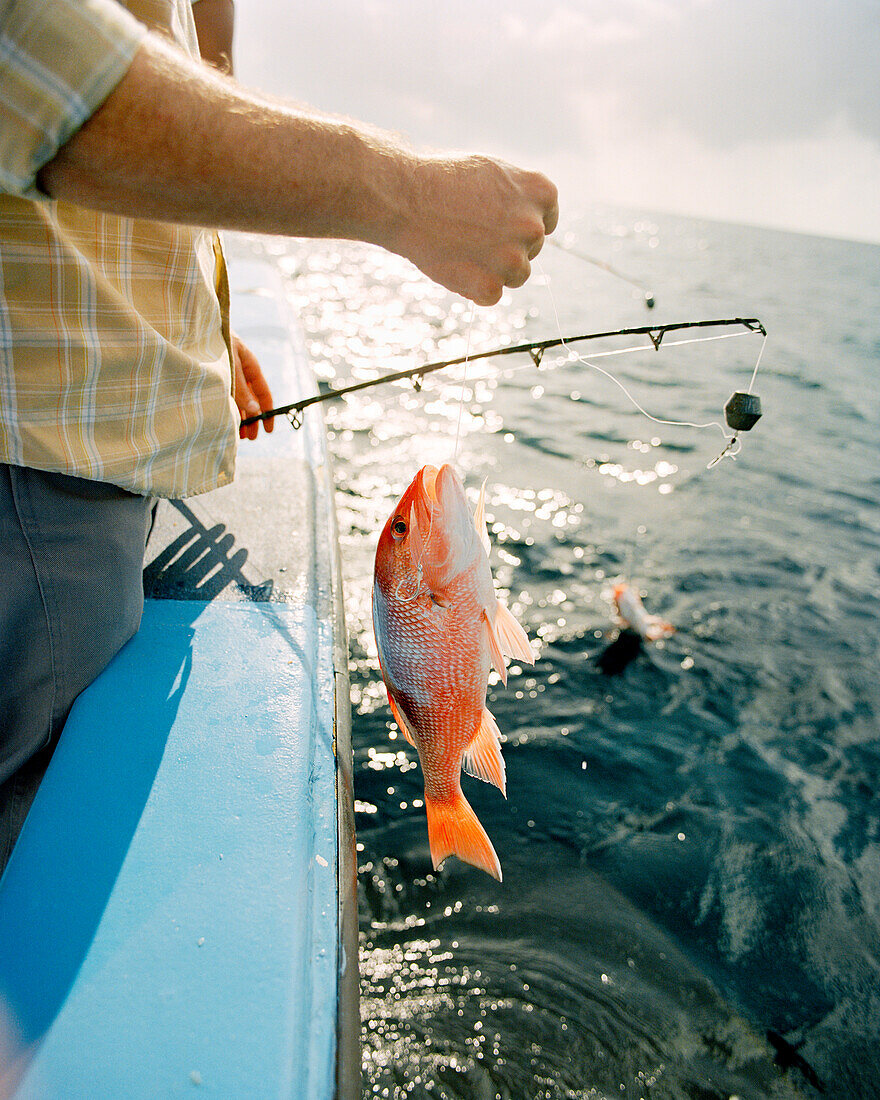 USA, Florida, man with red snapper on boat, Destin