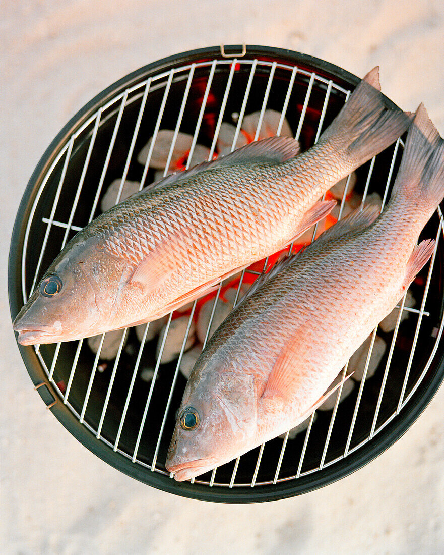 USA, Florida, Red Snapper fish on grill, close-up, Islamorada