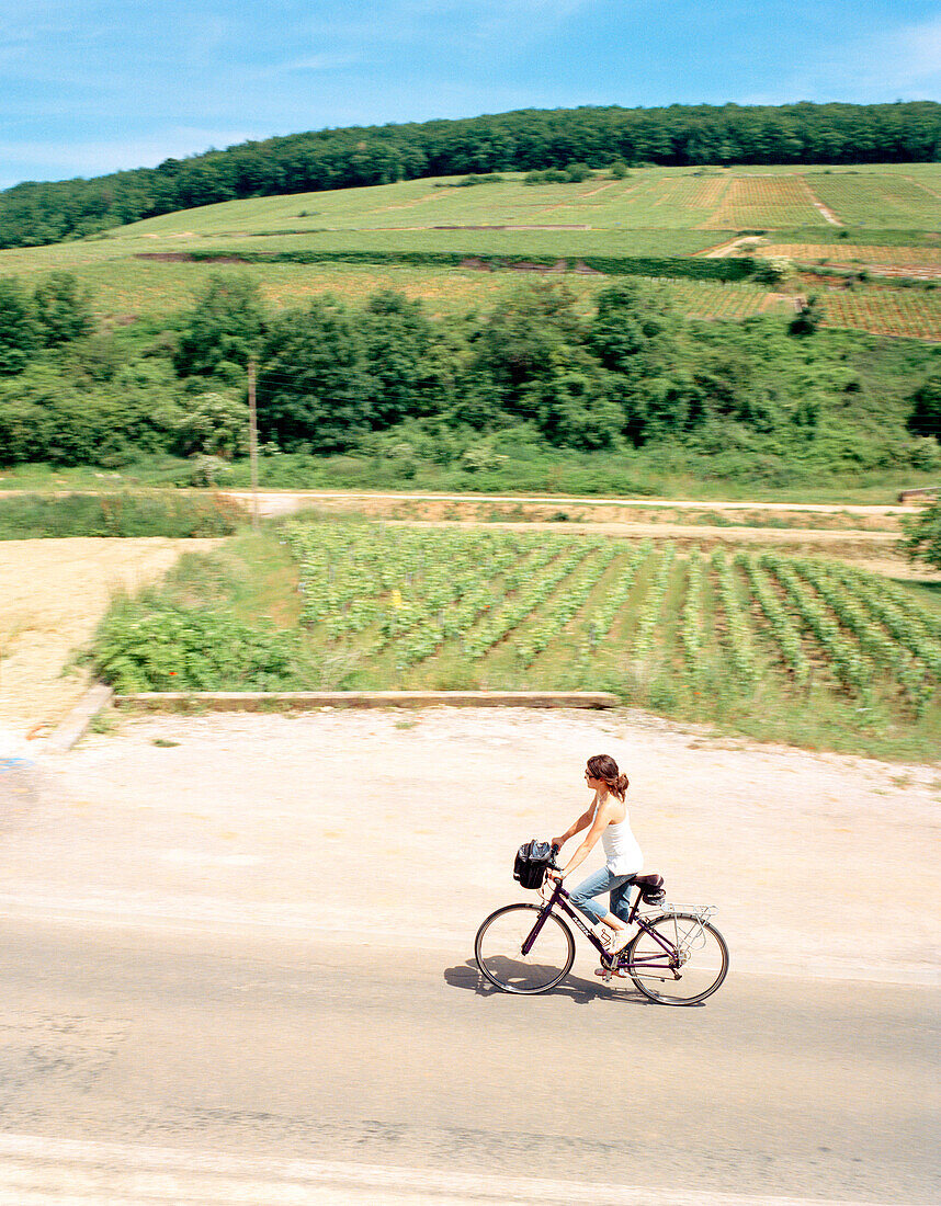 FRANCE, Burgundy, young woman riding bicycle by vineyard, elevated view, Burgundy