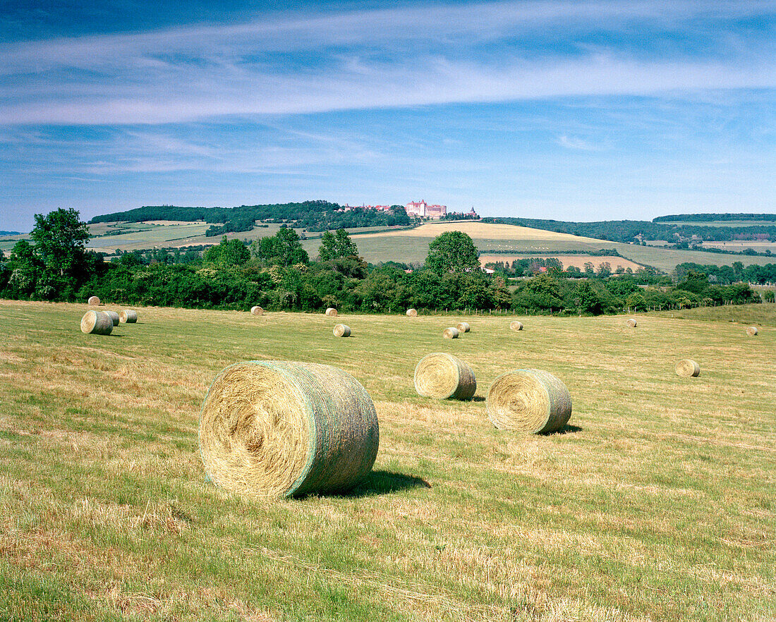 FRANCE, Burgundy, hay bales in countryside