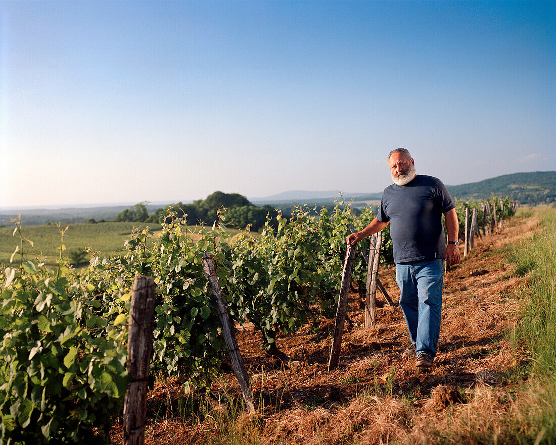 FRANCE, Montigny-les-Arsures, Arbois, Jacques Puffeney stands in his vines, Jacques Puffeney Winery, Jura Wine Region, Vin Jaune