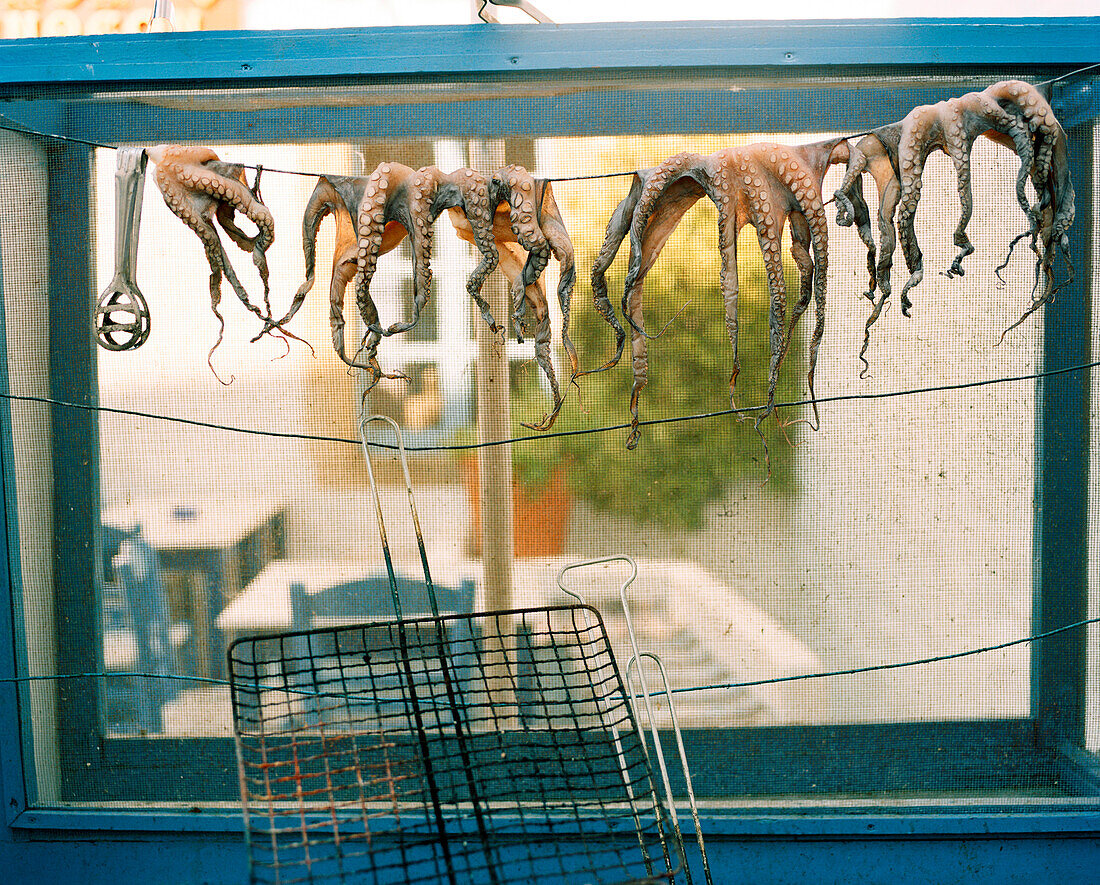 GREECE, Patmos, Chora, Dodecanese Island, small octopus hang to dry at a small restaurant in the town of Chora