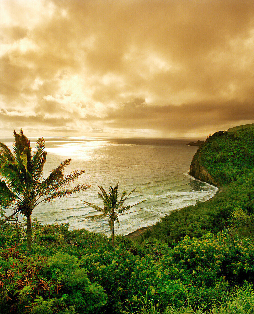USA, Hawaii, scenic view from the Pololu Lookout, The Big Island