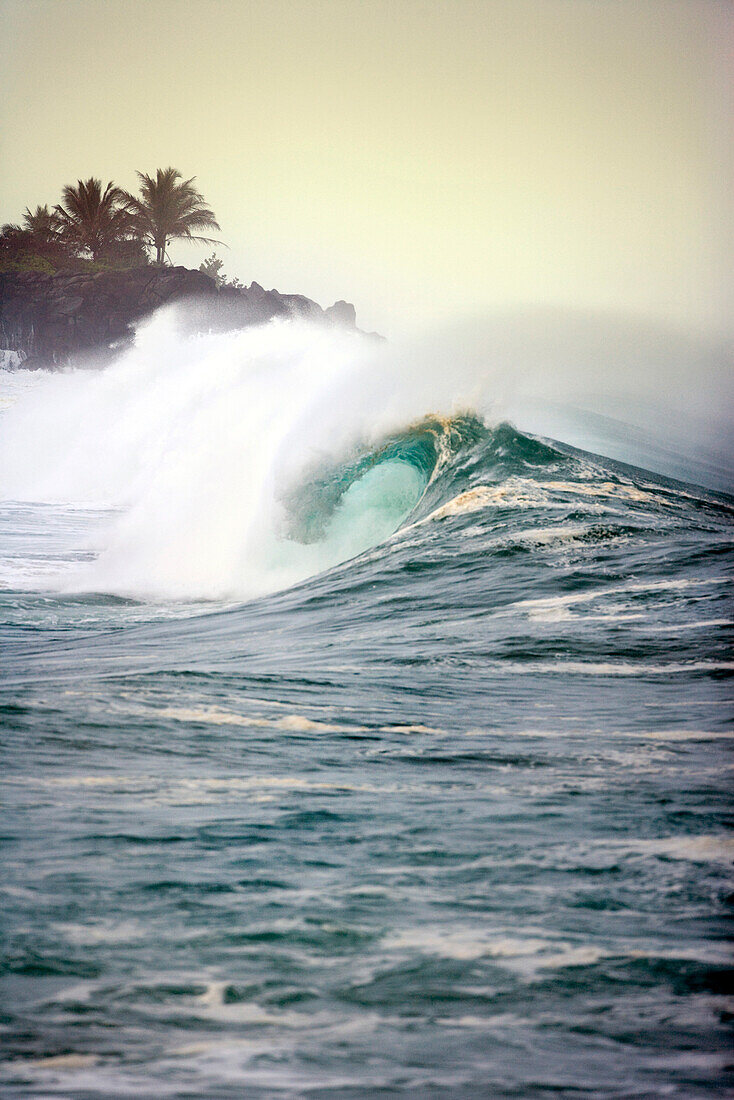 USA, Hawaii, Oahu, powerful breaking wave in the ocean at Waimea Bay