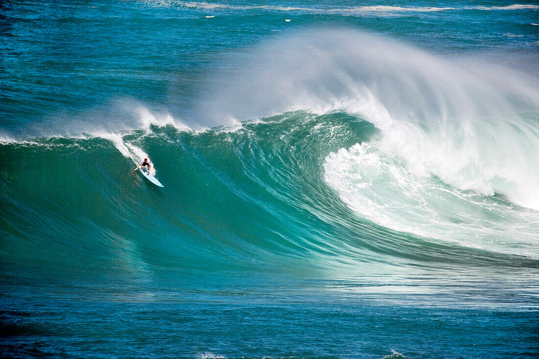 USA, Hawaii, surfer dropping into a large wave on the North Shore, Eddie Aikau surfing competition, Waimea Bay