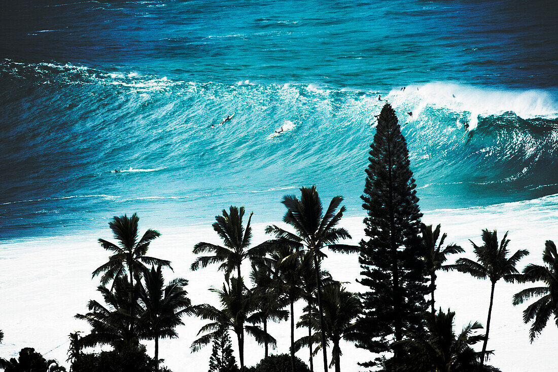 USA, Hawaii, Oahu, surfers riding a wave at Waimea Bay with palm trees in foreground, North Shore