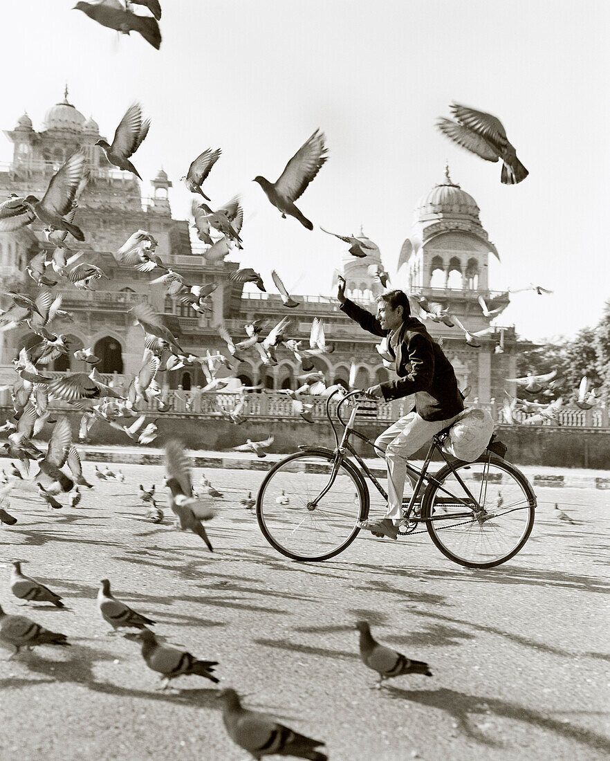 INDIA, Jaipur, man riding bicycle through a flock of pigeons (B&W)