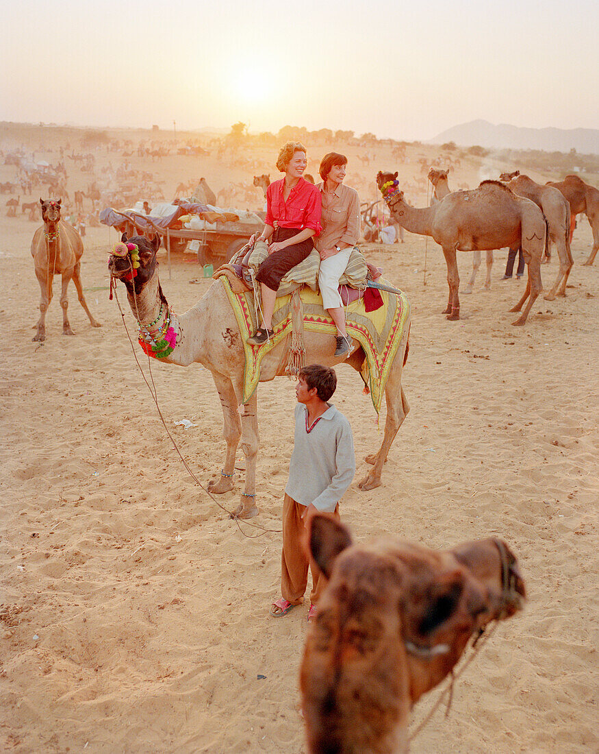 INDIA, Rajasthan, tourists enjoying camel ride, Pushkar Camel Fair