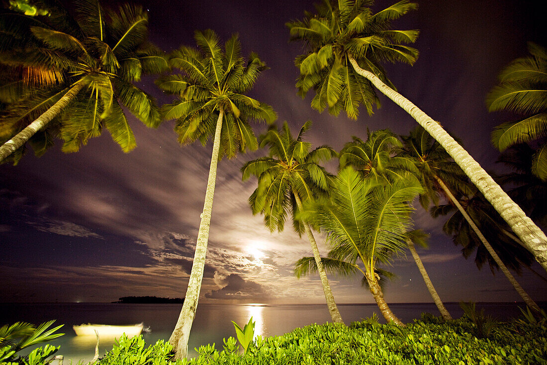 INDONESIA, Mentawai Islands, Kandui Resort, palm trees with Indian Ocean at night, moonrise