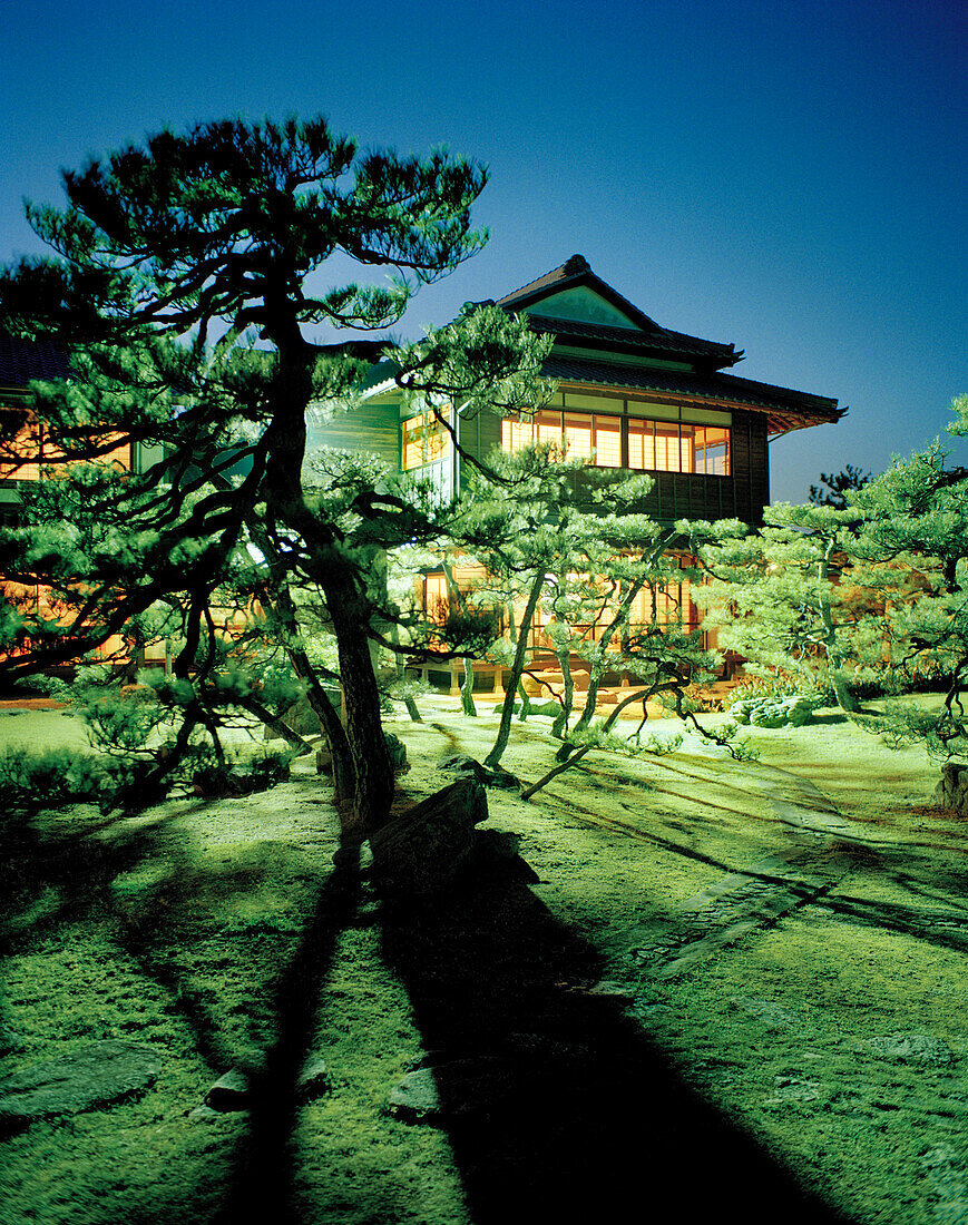 JAPAN, Kyushu, night shot of trees and Yoyokaku Ryokan