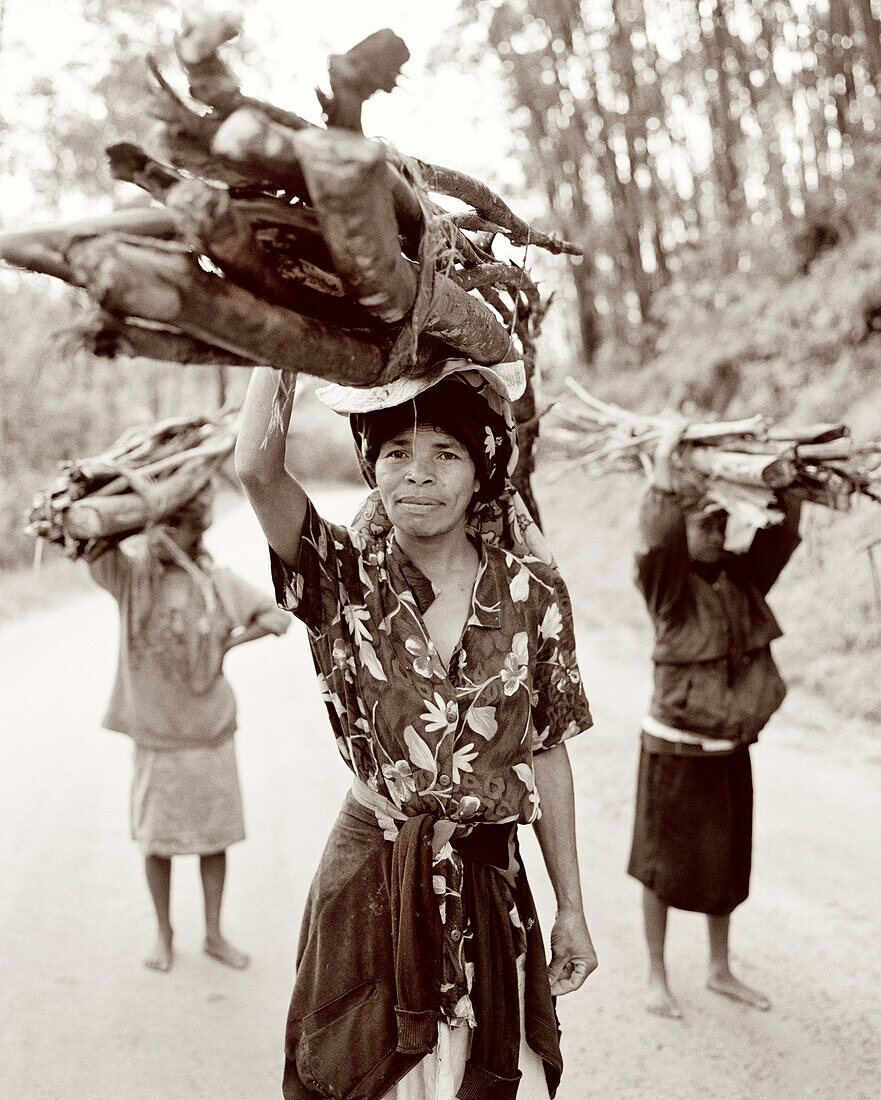 Madagascar, women carrying wood to the market, Perinet, Betsimisaraka Tribe (B&W)