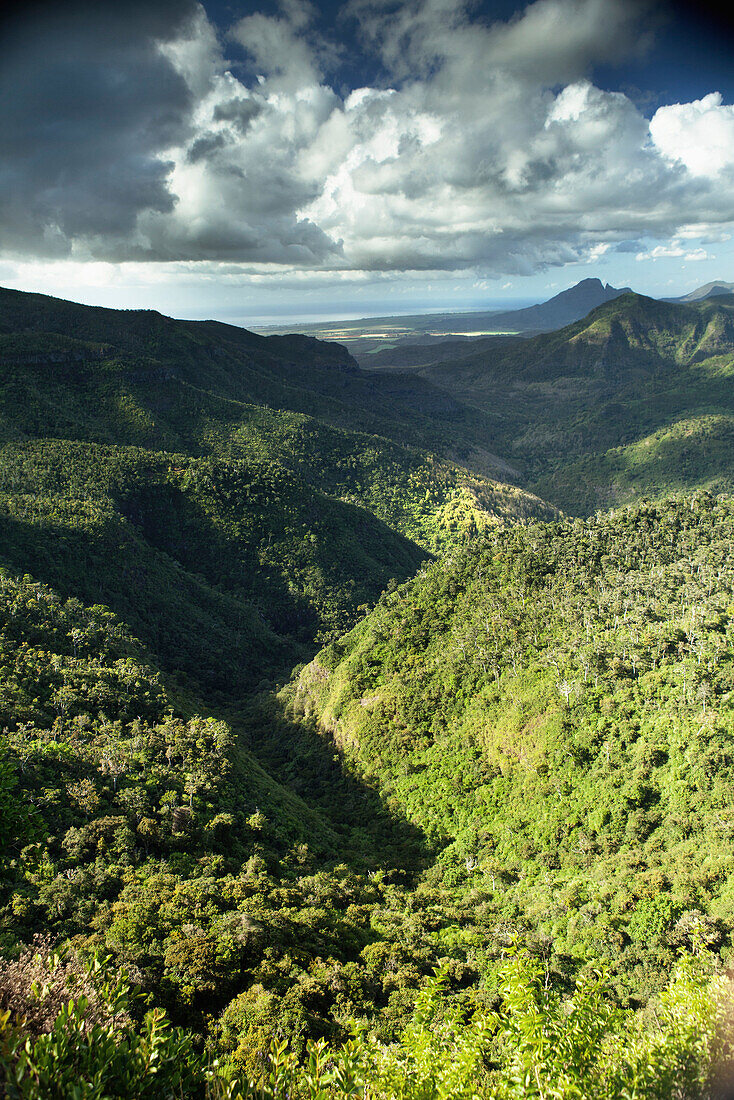 MAURITIUS, a view from the top of Black River Gorges National Park, the home of 1,000 year old trees