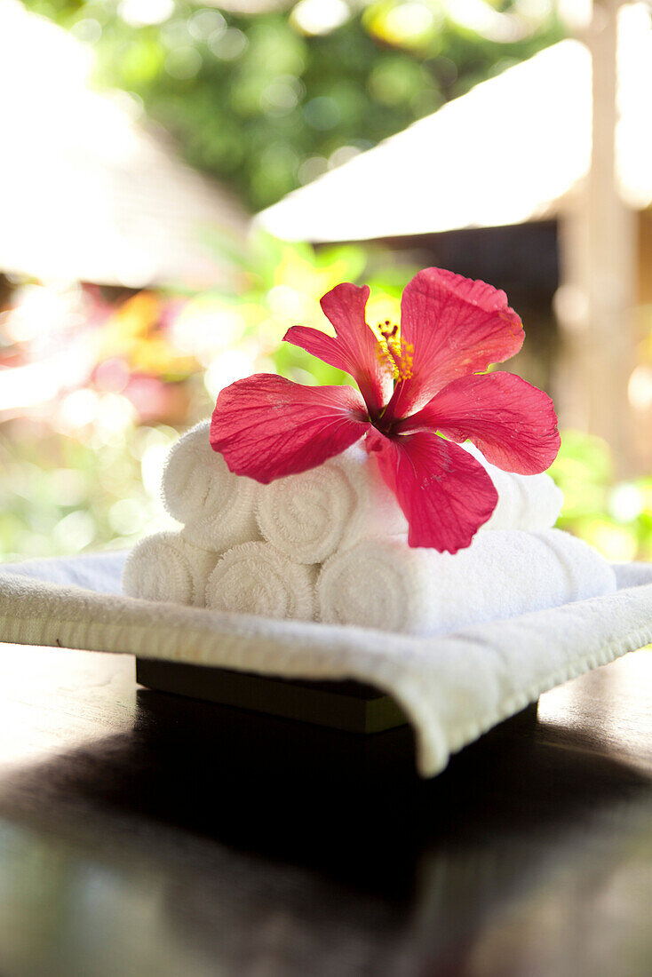 MAURITIUS, Chemin Grenier, South Coast, detail of the spa at Hotel Shanti Maurice, Hibiscus flower