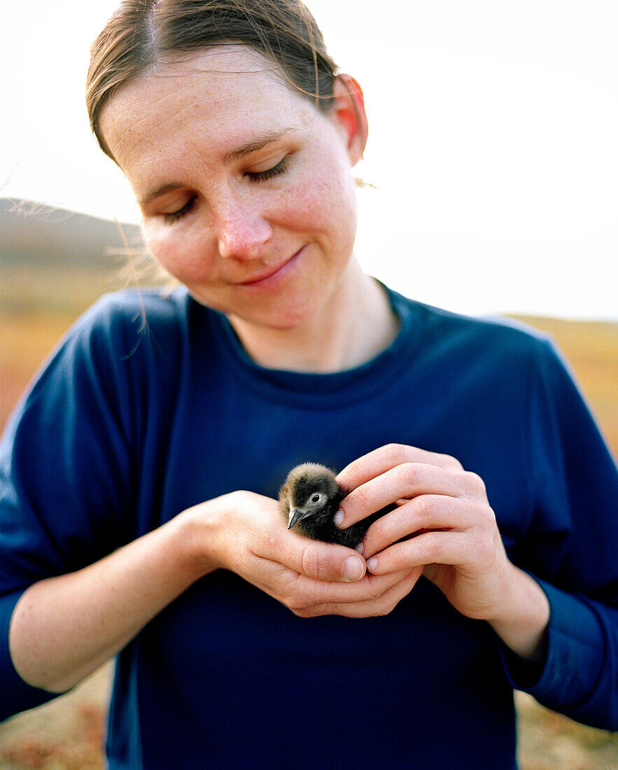 MEXICO, Baja, smiling mid adult woman holding Cassin's Auklet Chick, San Benitos Islands