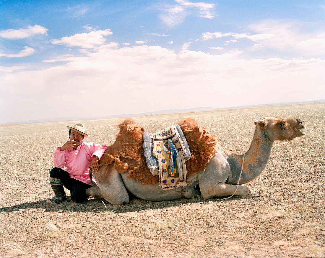 MONGOLIA, Nemegt Basinmid, adult man takes a rest with his camel and smokes, The Gobi Desert