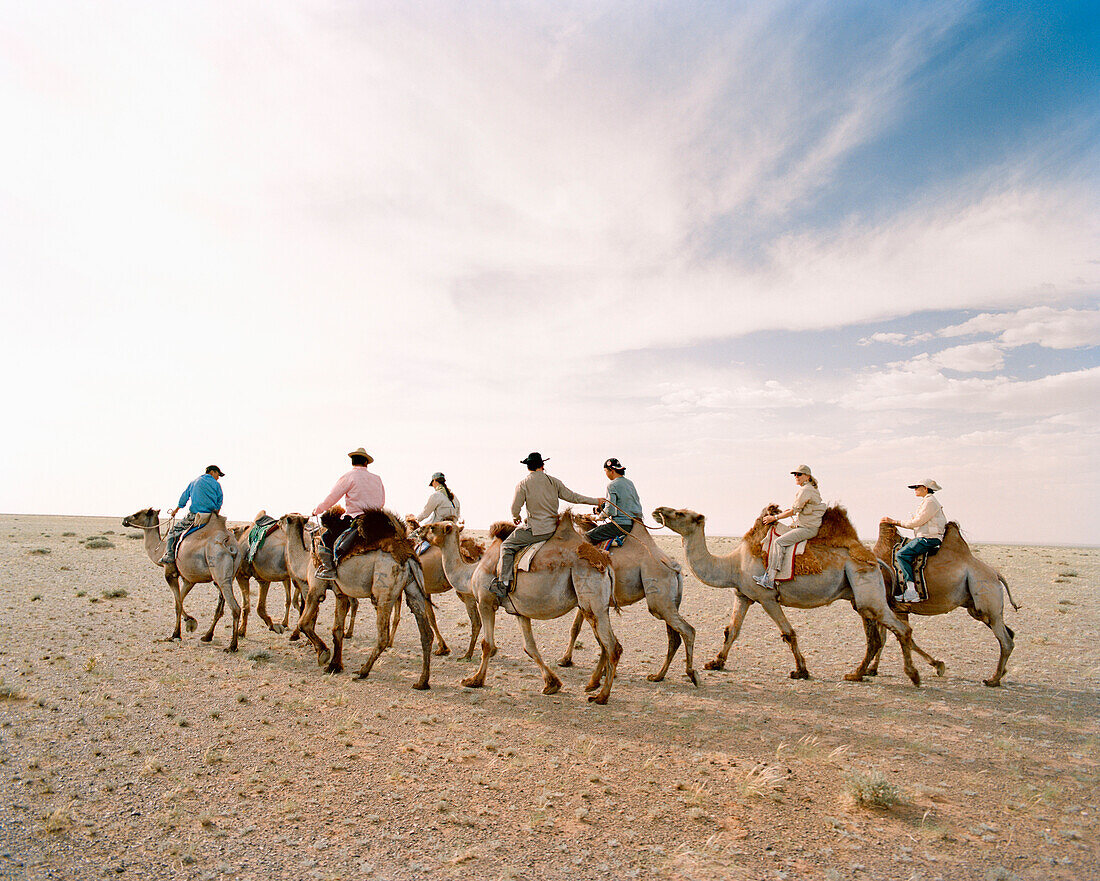 MONGOLIA, Nemegt Basin, a group of riders trek through the Gobi Desert on camelback