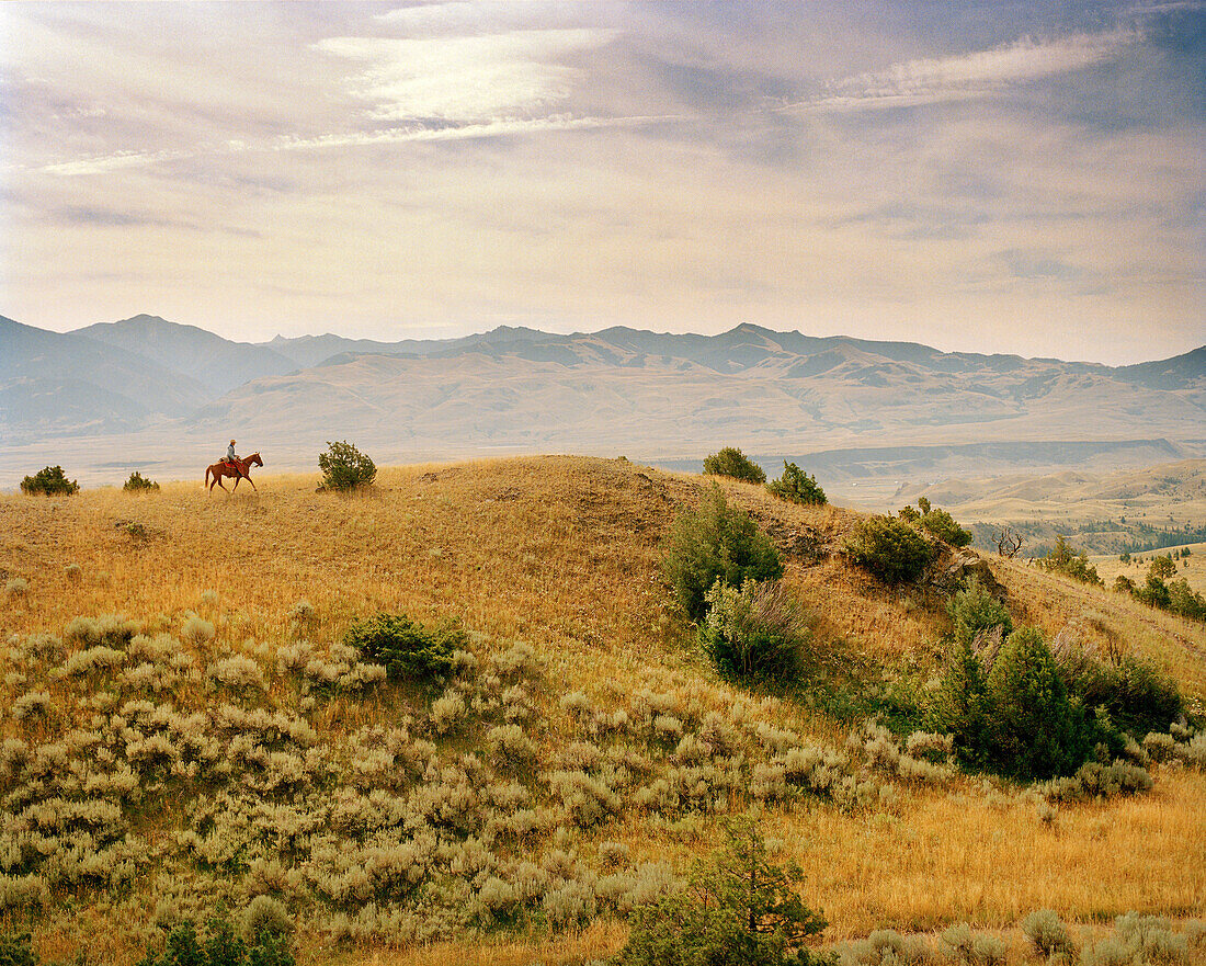 USA, Montana, person riding horse in open landscape, Gallatin National Forest, Emigrant