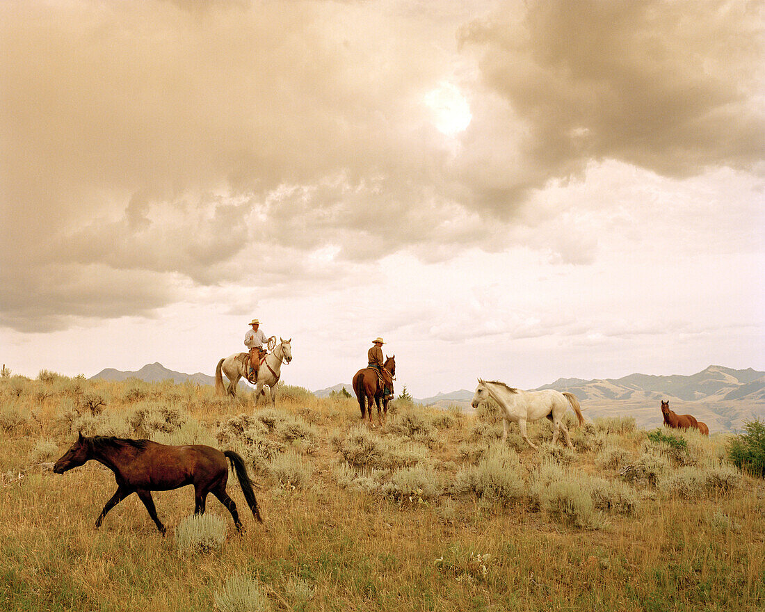 USA, Montana, cowboys sitting on horseback after letting other horses to pastrue, Mountain Sky Guest Ranch