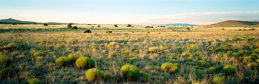 USA, New Mexico, Albuquerque, panorama landscape