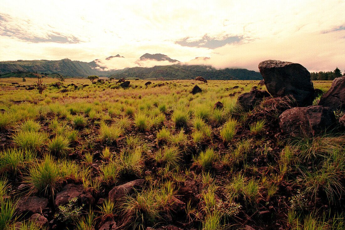 PANAMA, David, volcanic landscape with Baru Volcano in the distance, Central America