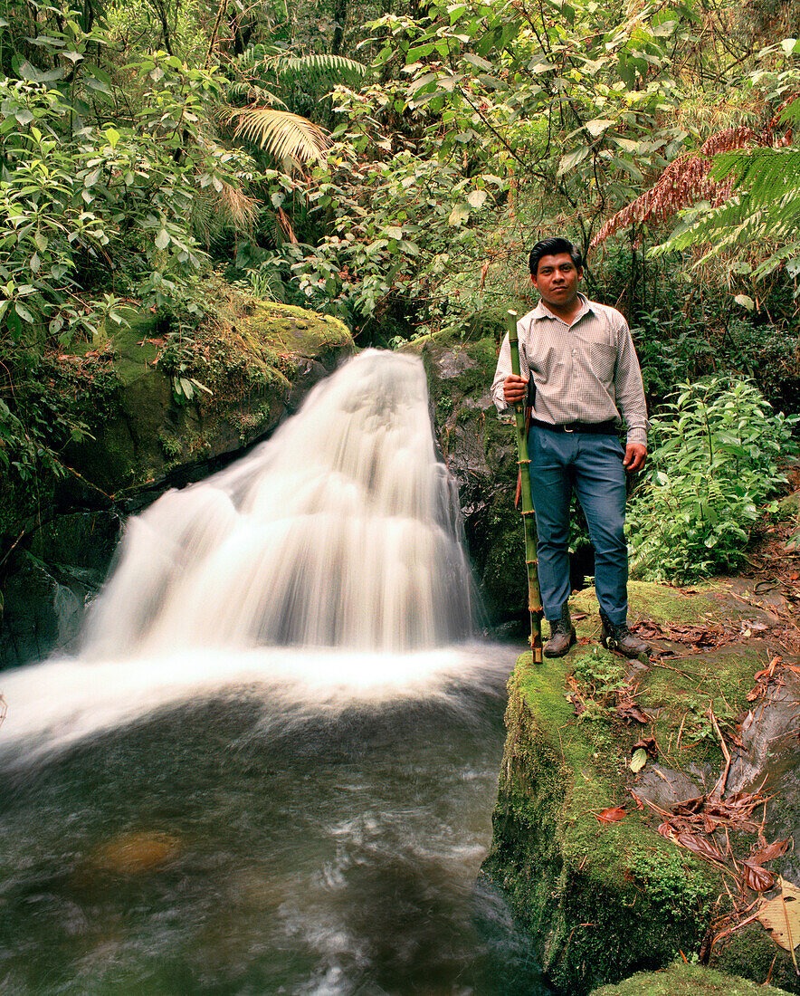 PANAMA, David, Guadalupe, Los Quetzales Lodge, a local Chiriqui guide and birder stands by a beautiful waterfall in the cloud forest