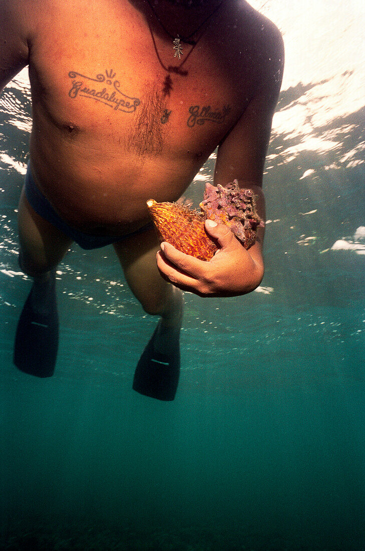 PANAMA, Bocas del Toro, Salt Creek Islands, a man snorkels and dives for food in the Caribbean Sea, Central America