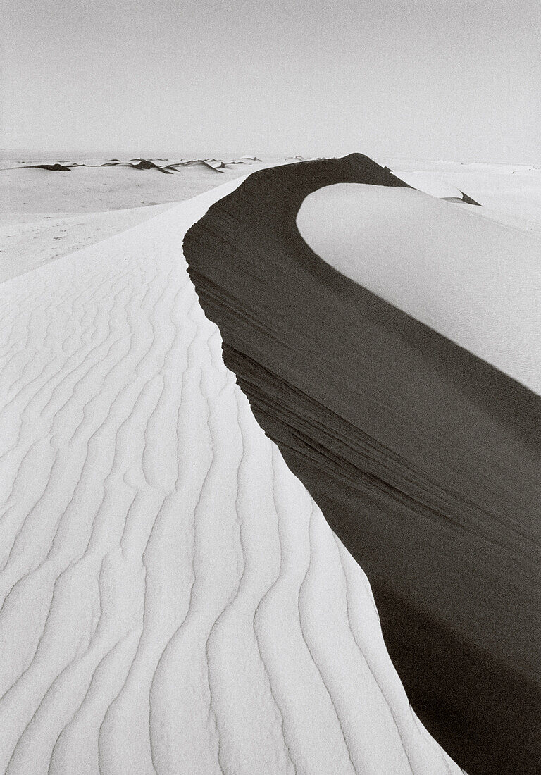SAUDI ARABIA, sand dunes in desert, The Empty Quarter, Najran (B&W)