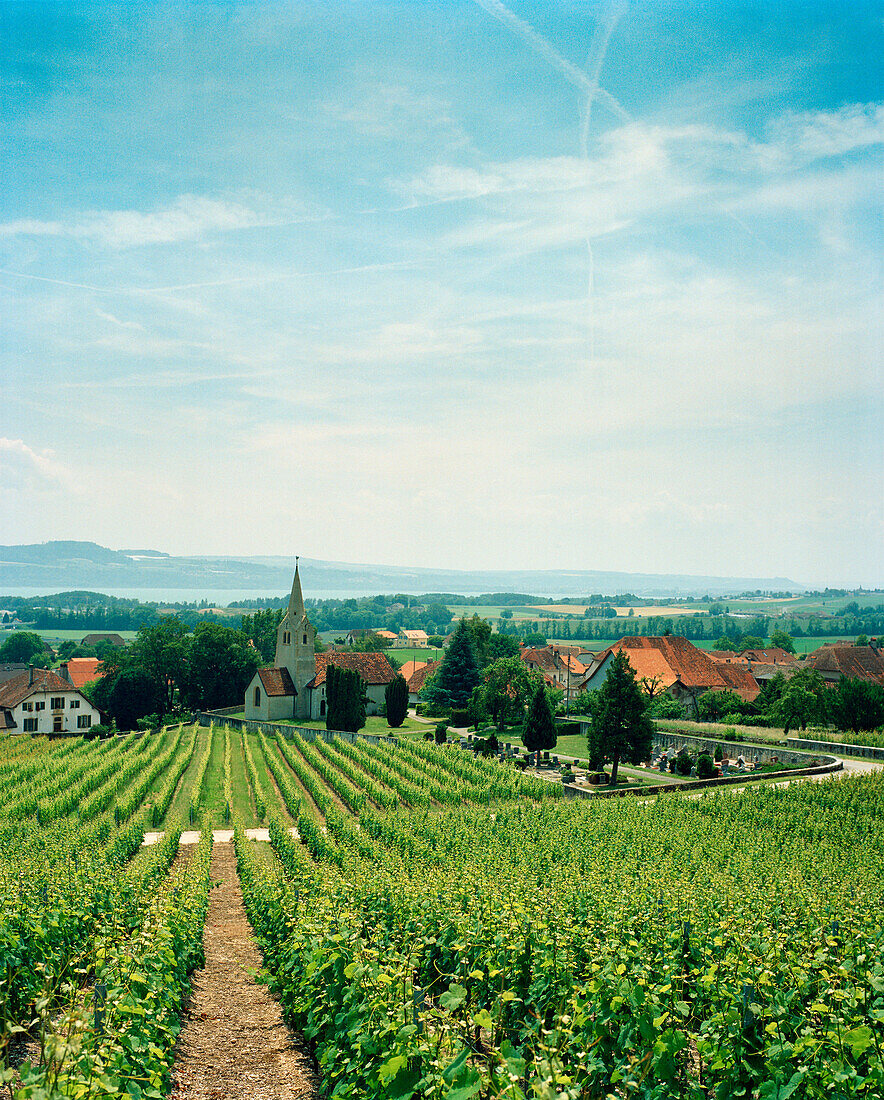 SWITZERLAND, Bonvillars, vines and church in the small town of Bonvillars, Jura Region
