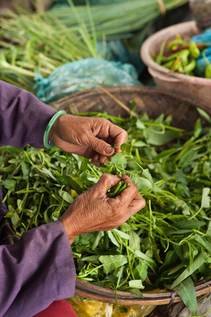 VIETNAM, Hue, a woman removes the stem ends from her leafy green vegetables at a rural roadside market