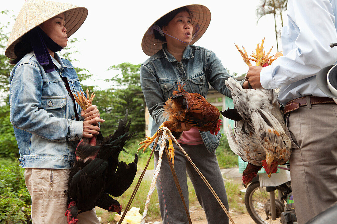 VIETNAM, Hue, women negotiate the sale of some chickens on the side of the road in rural Hue