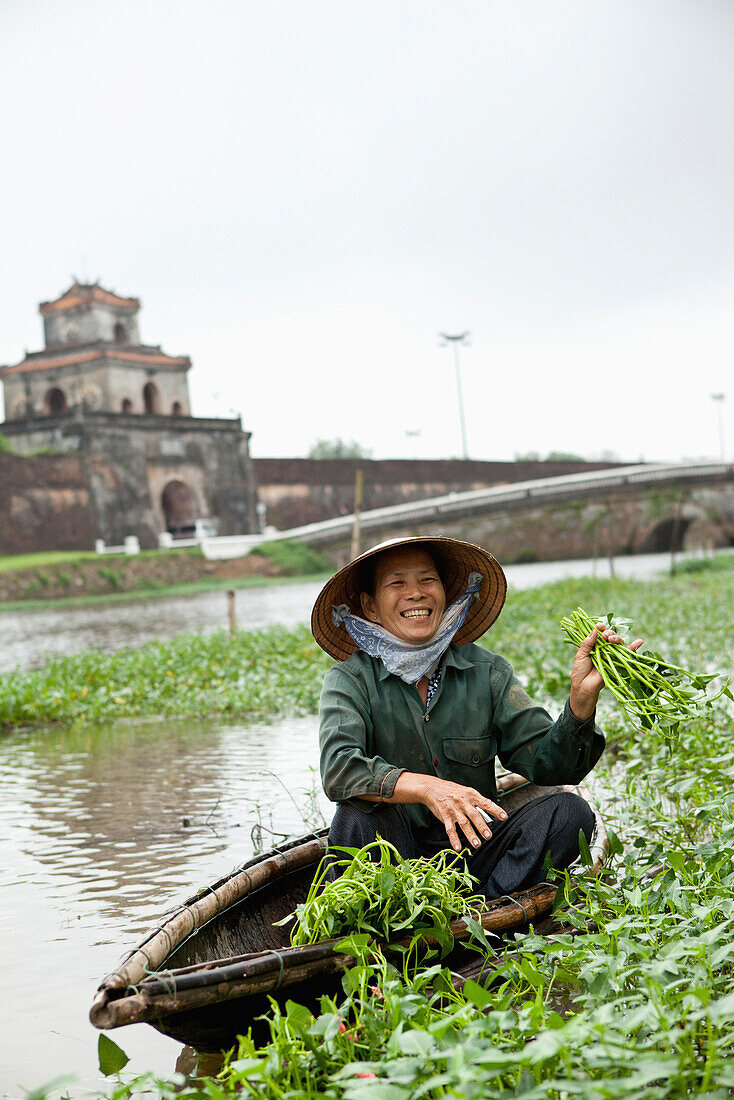 VIETNAM, Hue, Nguyen Thi Ngan picks a leafy green vegetable called rau muong in the Citadel canal